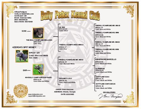 bully pedigree website free.